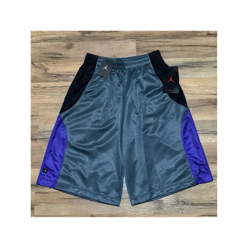 Jordan Court Fit Silky Dazzle Shiny Grey Purple Baggy Vintage 395410-064 Shorts